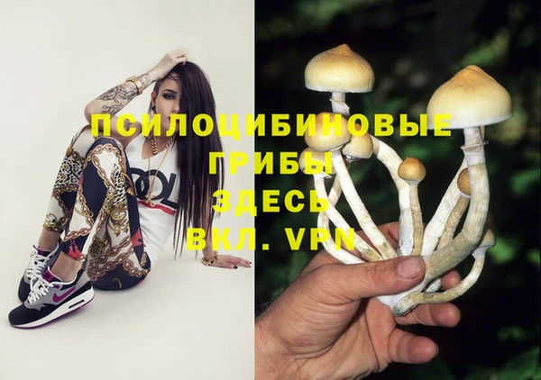 PSILOCYBIN Рославль