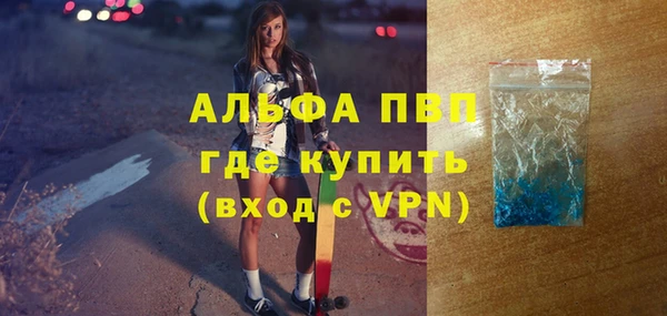 PSILOCYBIN Рославль