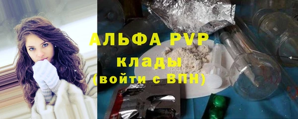 PSILOCYBIN Рославль